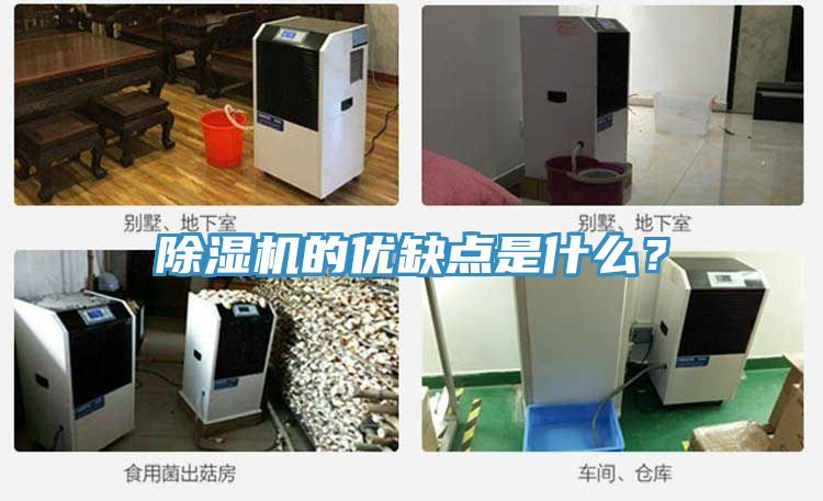 除濕機(jī)的優(yōu)缺點(diǎn)是什么？