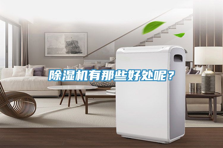 除濕機有那些好處呢？