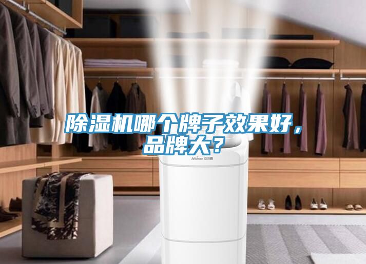 除濕機哪個牌子效果好，品牌大？