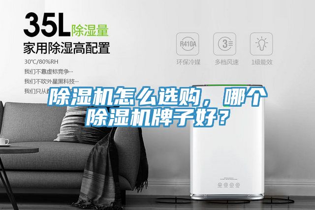 除濕機(jī)怎么選購，哪個(gè)除濕機(jī)牌子好？