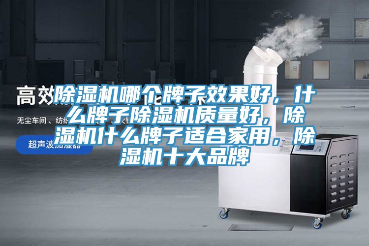除濕機哪個牌子效果好，什么牌子除濕機質量好，除濕機什么牌子適合家用，除濕機十大品牌