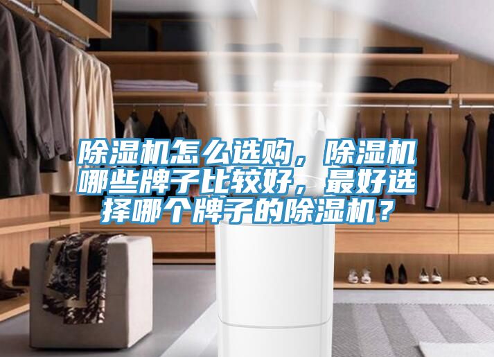 除濕機(jī)怎么選購，除濕機(jī)哪些牌子比較好，最好選擇哪個(gè)牌子的除濕機(jī)？