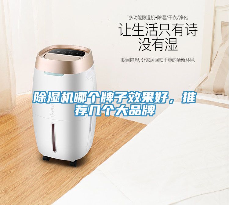 除濕機哪個牌子效果好，推薦幾個大品牌