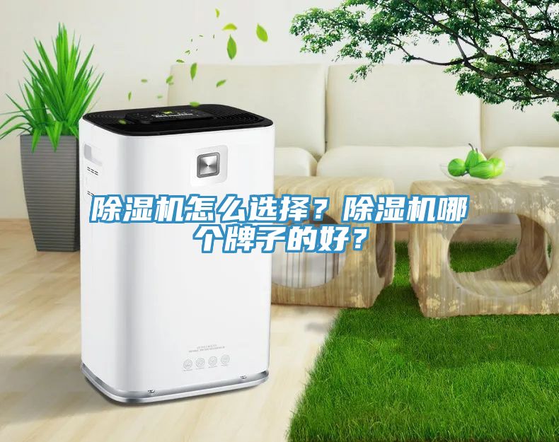 除濕機(jī)怎么選擇？除濕機(jī)哪個(gè)牌子的好？