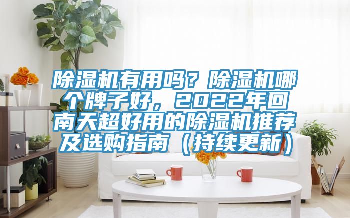 除濕機有用嗎？除濕機哪個牌子好，2022年回南天超好用的除濕機推薦及選購指南（持續更新）