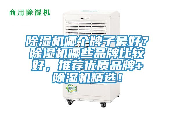 除濕機哪個牌子最好？除濕機哪些品牌比較好，推薦優質品牌+除濕機精選！