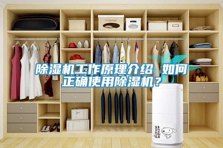 除濕機工作原理介紹 如何正確使用除濕機？