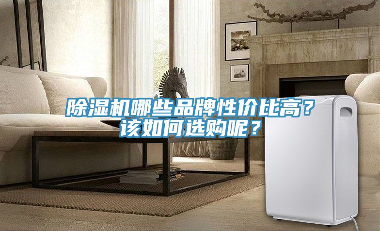 除濕機哪些品牌性價比高？該如何選購呢？