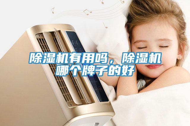 除濕機有用嗎，除濕機哪個牌子的好